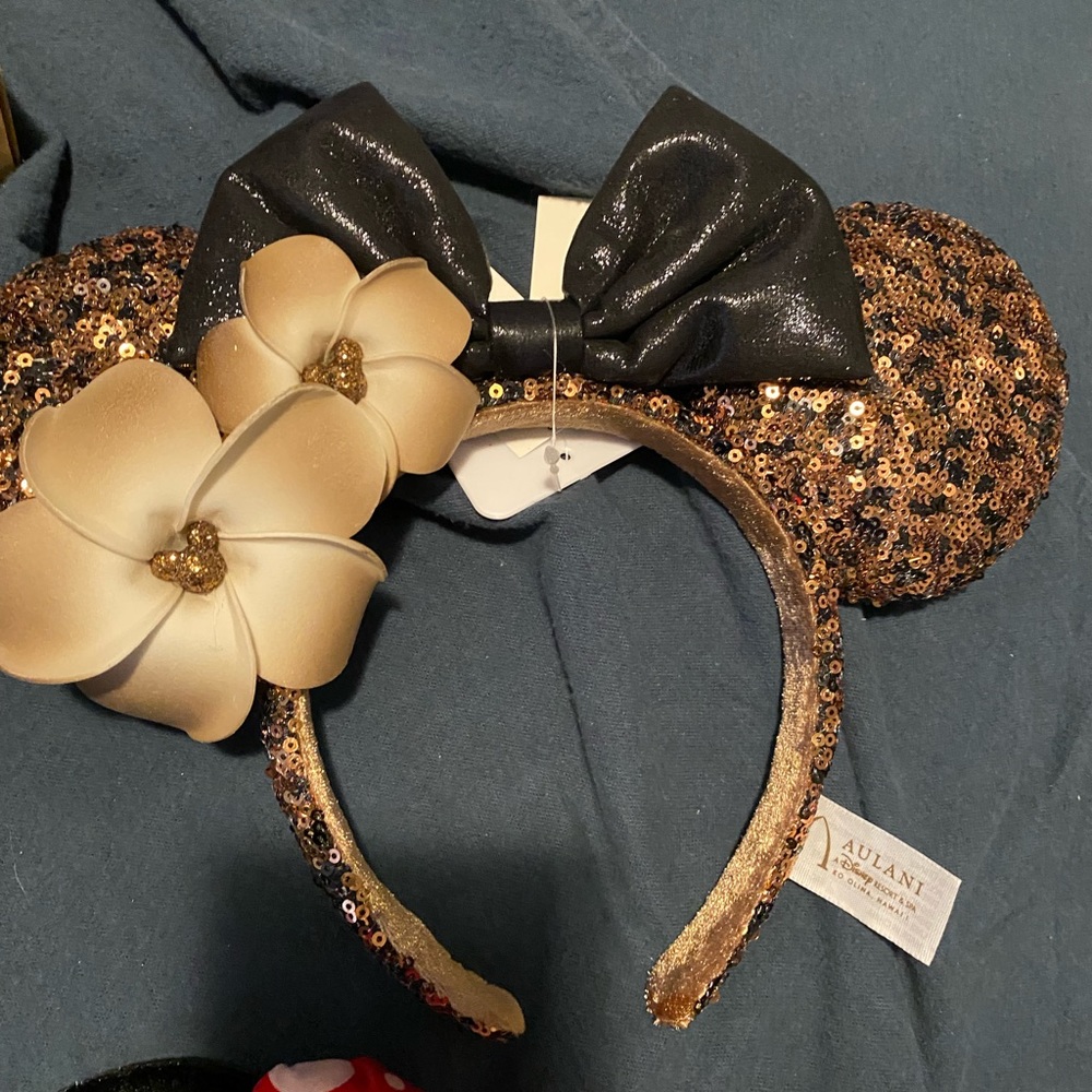 Disney aulani ears